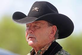 Wes Wolfe, Author at Florida Politics