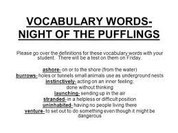 Nights Of The Pufflings Vocabulary Ppt Download