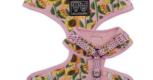 You Are My Sunshine Dog Harness Cute Dog Harness Small Dog Harness