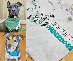 We did not find results for: Dog Tails Rescue Shop Home Facebook