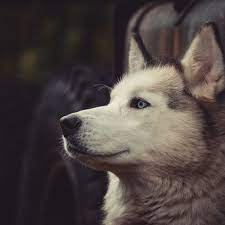 Guess who — un anonim celebru. Guess Who Un Anonim Celebru Documentar Mp3 By Alex Ag