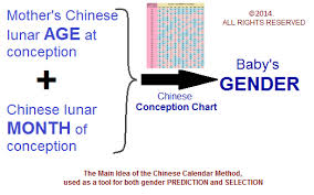 Chinese Gender Predictor 2019 Baby Calendar Updated