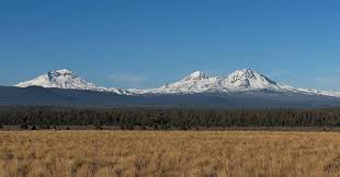 Image result for Struthiola montana