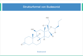 Uses, indications, side effects, dosage. á… Budesonid Spray Kaufen Budesonid Rezeptfrei