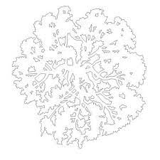 Treeplan 02 3d Model Formfonts 3d Models Textures Tree Plan Vector Trees Tree Photoshop