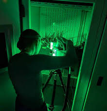 Image result for Oreophyton