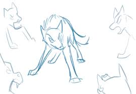 The front (red), sides (green) and back (blue). Wolfshadowkat On Deviantart Animated Drawings Animation Sketches Animation
