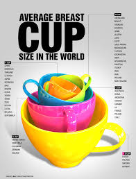 Average Breast Cup Size Around The World Infographic