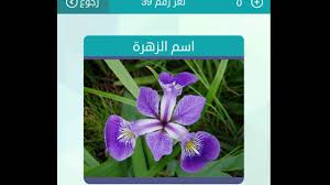اسم الزهرة مكونة من اربع حروف حل لغز لعبة الكلمات المتقاطعة وصلة Youtube