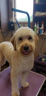 TVH SKIN and HAIR CARE