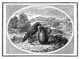 Galleries Major Publications The Fables Of Aesop The Crow And The Pitcher Bird Art Art Crow