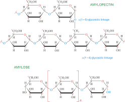 Starch or amylum is a polymeric carbohydrate consisting of numerous glucose units joined by glycosidic bonds. Starch Chemistry Dictionary Glossary