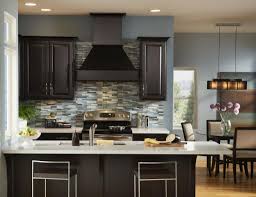 paint ideas kitchen home design