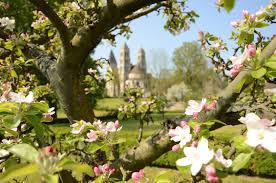 Promesse De Roses En Picardie La Roseraie David Austin A Morienval 60 Roseraie Jardin Romantique David Austin