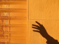 Ciptakan kombinasi warna pilihan favoritmu sekarang juga ! 22 Ide Feed Kuning Kuning Fotografi Estetika Kuning