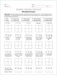 Pin By Sara Slack On Classroom Ideas Punnett Squares Life Science Middle School Punnett Square Activity