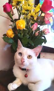 Cat & Alan Ritchson at PARIS ❤ LOVE THEM ❤