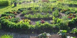 Union Comtoise De Yoga A Besancon Design Jardin Jardin De Legumes Et Jardins