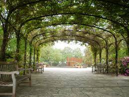 Botanical Gardens In San Antonio Texas A Truly Beautiful Place I Love San Antonio Photography Locations San Antonio Photography San Antonio Botanical Garden