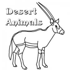 Desert Animals Coloring Worksheets Printable Worksheets And Activities For Teachers Parents Tutors And Homeschool Families 35 cute & easy animal drawing ideas. desert animals coloring worksheets