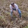 Severe 2026 Heat Wave and Drought Threaten German Agriculture with Major Crop Failures
