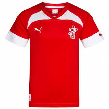 Controlled by the danish handball association it represents denmark in international matches. Denmark Dhf Puma Kids Handball Jersey 744030 01 Sportspar Com
