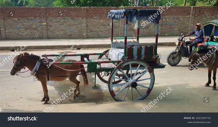 Rajshahi Bangladesh 06112022 Horse Carriage Two-wheeled Stock Photo 2511197715 | Shutterstock