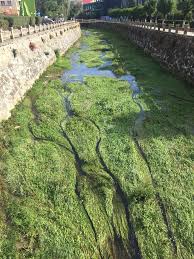 Pentru a aplica sau a afla mai multe detalii: Locuri Ce Trebuie Musai Vizitate In JudeÅ£ul Covasna Ioana Dumitrache