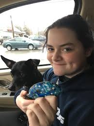 Found at BJs wholesale in Batavia. It's headed north today 😊