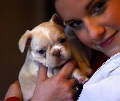 Beverly Brainard Madison (@bevmadison) • Instagram photos and videos