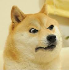 Jul 24, 2013 · ironic doge memes are memes that feature the doge meme in strange or surreal circumstances. Create Meme Meme Dog Doge Meme Angry Doge Meme Pictures Meme Arsenal Com