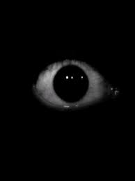 Blackberry World Scary Evil Eye Prank Horrific Prank App Evil Eye Horror Scary Eyes Light Vs Dark Scary Photos