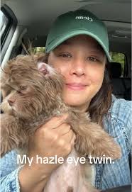 How to Feed Shih Tzu Puppies 4 Weeks