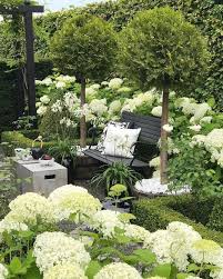 Aquaponics Jetzt Konnen Sie Ganz Einfach Ihr Eigenes Gemuse Anbauen Leben Ideen Cottage Garden Hydrangea Garden Small Garden Design