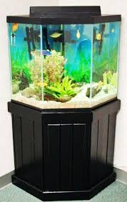 Aquarium Rentals Bow Front Aquarium Fish Tank Themes Corner Aquarium