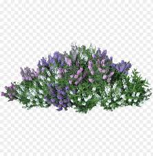Download Bush Clipart Png Photo Toppng Anime mangaka ecchi, anime sheep, female anime character png clipart. download bush clipart png photo toppng