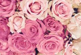 Mon amie la Rose ? - Passion Parfums