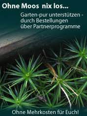 Gartenforum.de gartenforum mit nützlichen gartentipps rund um die themen garten und pflanzen. Gartenforum Und Portal Von Garten Pur