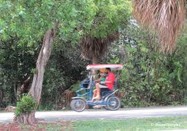 Zoo miami is the ideal place for an individual, a couple, or an entire family to spend a day. Bill Baggs Nature Trails