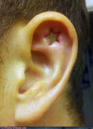 The user can change and modify the bodies of oneself and others generally for enhancing the physical capabilities, alternating appearances and so on. Fail Blog Body Modification Epic Fails Funny Videos Funny Fails Cheezburger