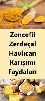 Zencefil Zerdecal Havlican Karisimi Faydalari Zerdecal Yemek Saglikli