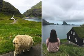 Maybe you would like to learn more about one of these? Faroe Islands Travel Tips Read Before Your Visit Travelinsightpedia