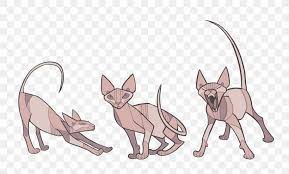 Check spelling or type a new query. Sphynx Cat Donskoy Cat Kitten How To Draw Animals Drawing Png 1500x907px Sphynx Cat Animal Art