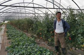 Moustoir Ac L Agriculteur Bio Vend Son Coin De Paradis La Gazette Du Centre Morbihan