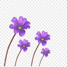 We've compiled a list of 62 types of purple flowers below. Purple Flowers Png Image Psd File Free Download Lovepik 400178060