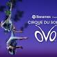 Cirque du Soleil - OVO event image