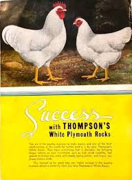 Ontario Poultry Breeders added...