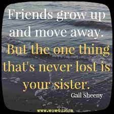 If you're having a hard time thinking of just the right thing to say, then you've definitely come to the right place! 105 Sister Quotes To Share With Your Sis
