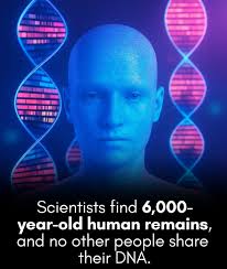 Mystery of type O blood in indigenous American communities