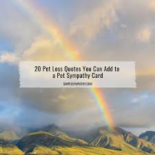 Click here to see the 30 greatest sympathy messages ever written for a loss of a pet. 20 Pet Loss Quotes You Can Add To A Pet Sympathy Card Simple Sympathy